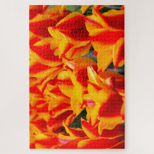 Tulips aus Amsterdam. Puzzle (Vertikal)