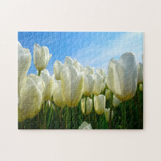 Tulips aus Amsterdam. Puzzle (Horizontal)