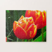 Tulips aus Amsterdam. Puzzle (Horizontal)