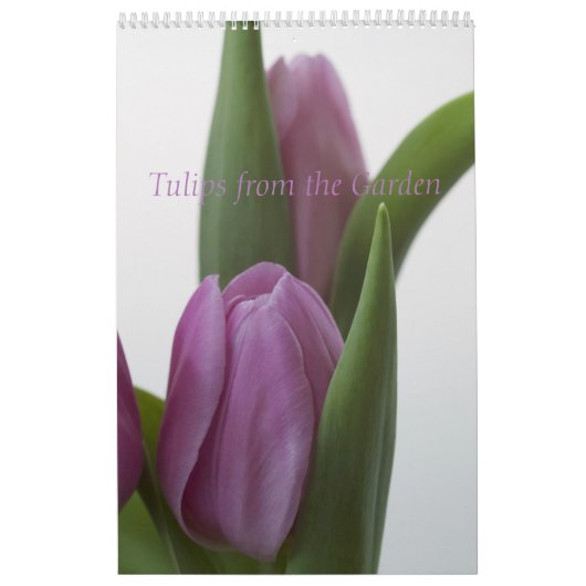 Tulips aus dem Gartenkalender Kalender (Titelbild)