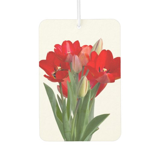 Tulips Autolufterfrischer (Vorderseite)