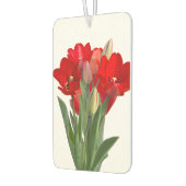 Tulips Autolufterfrischer (Links)