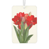Tulips Autolufterfrischer (Rückseite)