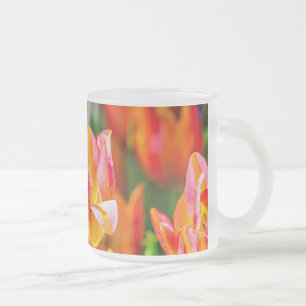 Tulips Beautiful Mattglastasse