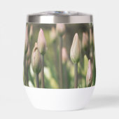 Tulips beginnen zu blühen (Vorderseite)