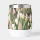 Tulips beginnen zu blühen (Rückseite)