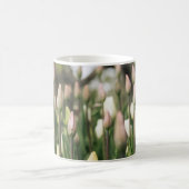Tulips beginnen zu blühen kaffeetasse (Mittel)