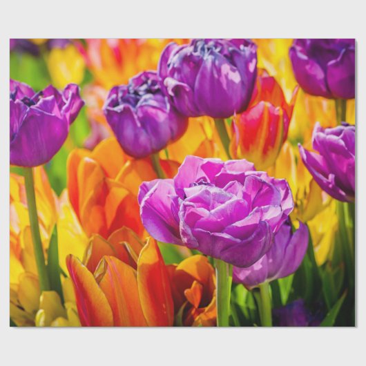 Tulips Bezaubernd farbenfroh Geschenkpapier (Flach)