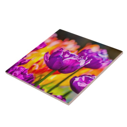 Tulips Bezaubernd Lila Fliese (Seite)