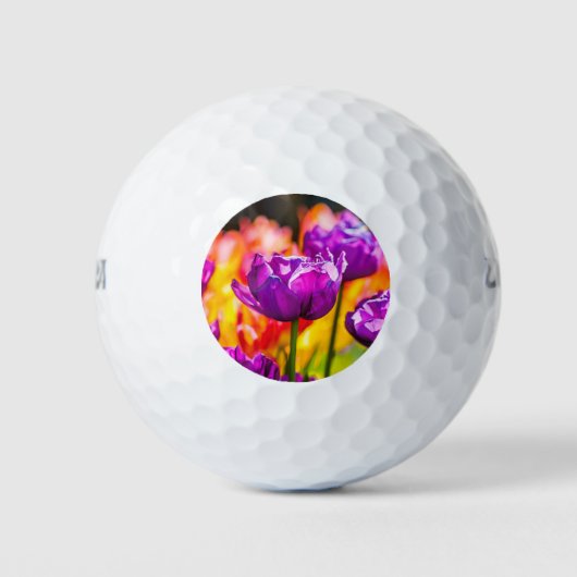 Tulips Bezaubernd Lila Golfball (Vorderseite)