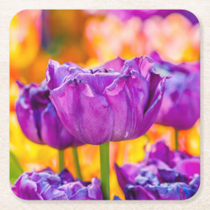 Tulips Bezaubernd Lila Rechteckiger Pappuntersetzer