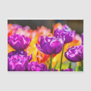 Tulips Bezaubernd Lila Seidenpapier