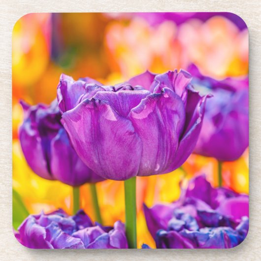 Tulips Bezaubernd Lila Untersetzer (Vorderseite)