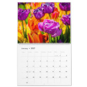Tulips Bezaubernd schön Kalender (Jan 2027)