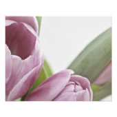Tulips blühen fotodruck (Vorne)