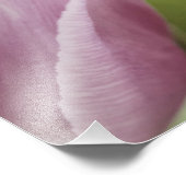 Tulips blühen fotodruck (Ecke)