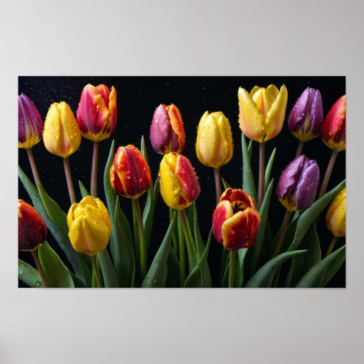 Tulips Blume Farbenfrohe Blossom Dekoration Blosso (Vorne)