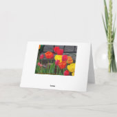 Tulips Brights Karte (Rückseite)