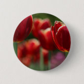 Tulips Button (Vorderseite)