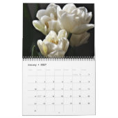 Tulips Calendar Kalender (Jan 2027)