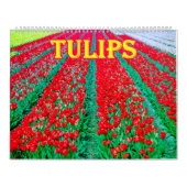 tulips Calendar Kalender (Titelbild)