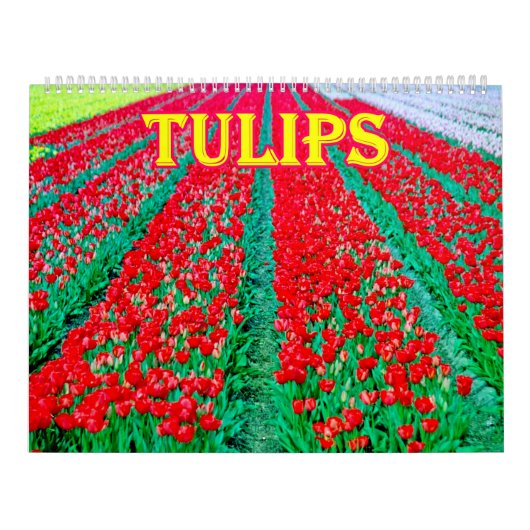 tulips Calendar Kalender (Titelbild)