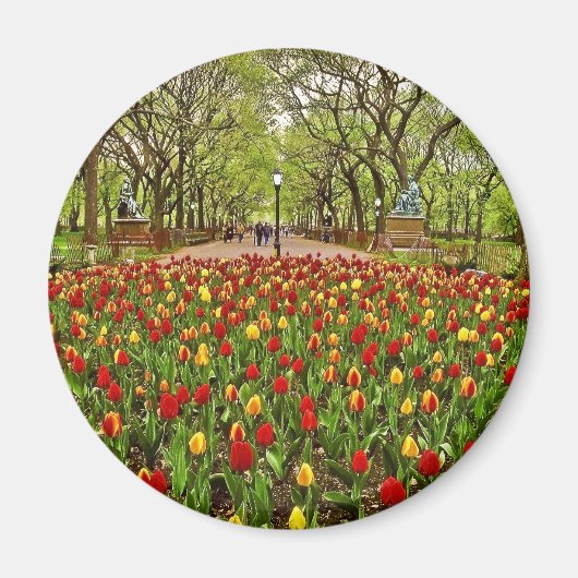 Tulips Central Park NYC Magnet (Vorne)