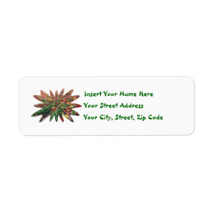 Tulips Collapsing Design Anpassbare Labels