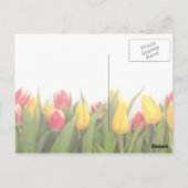Tulips Dankeschön individuell anpassbare Postkarte (Rückseite)