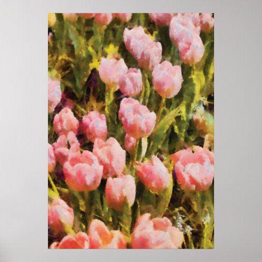 Tulips - Ein rosa Feld Poster (Vorne)