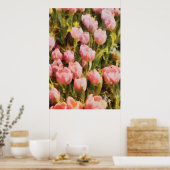 Tulips - Ein rosa Feld Poster (Küche)
