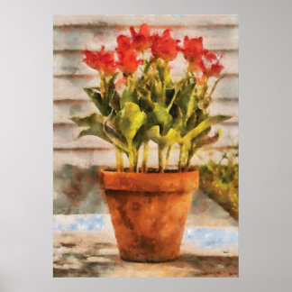 Tulips - Ein Topf mit Tulips Poster