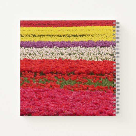 Tulips Feldkust. Notebook Notizblock (Rückseite)