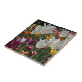 Tulips Fliese (Seite)