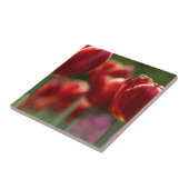 Tulips Fliese (Seite)
