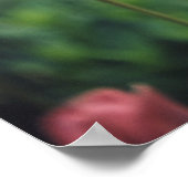 Tulips florale Tulip Garden Frühlingstag Blume Poster (Ecke)