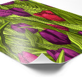 Tulips Fotodruck (Ecke)
