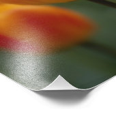 Tulips Fotodruck (Ecke)