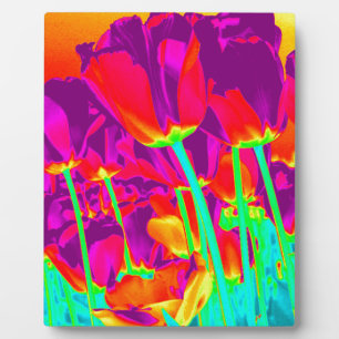 Tulips Fotoplatte