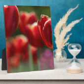 Tulips Fotoplatte (Seite)