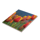 Tulips für die Mama Fliese (Seite)