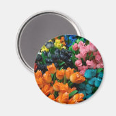 Tulips Galore Magnet (Vorderseite/Rückseite)