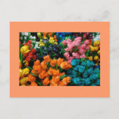 Tulips Galore Postkarte (Vorderseite)