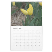 Tulips ganzjährig kalender (Jan 2026)