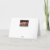 Tulips Geburtstag oder Grußkarte. Anpassen Karte (Rückseite)