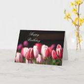 Tulips Geburtstag oder Grußkarte. Anpassen Karte (Gelbe Blume)