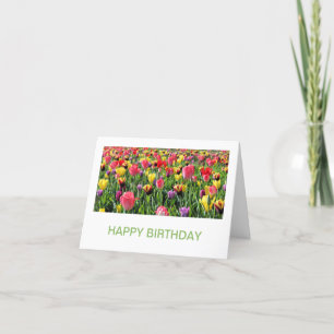 Tulips Geburtstagskarten Karte
