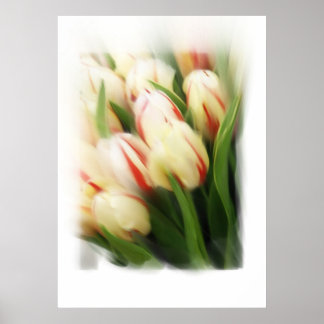 "Tulips"-Gemälde auf Leinwand Poster