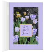 Tulips/Get well bald/von uns allen (Innen (Rechts))