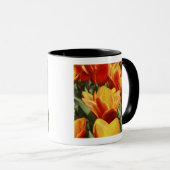 Tulips gibt es in den Keukenhof Gardens, Holland. Tasse (VorderseiteRechts)